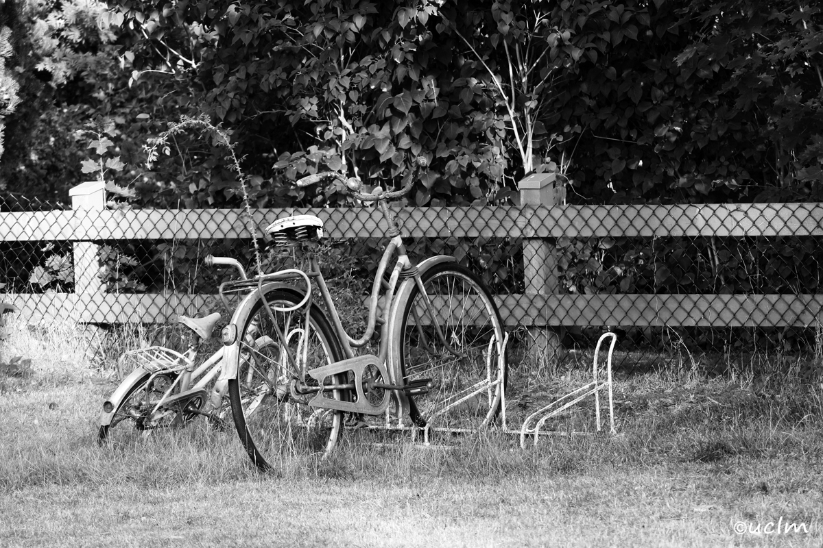 Cyklar