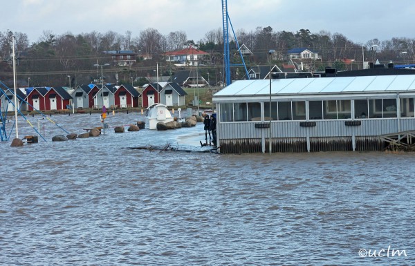 Skaldervikens-hamn-I-web