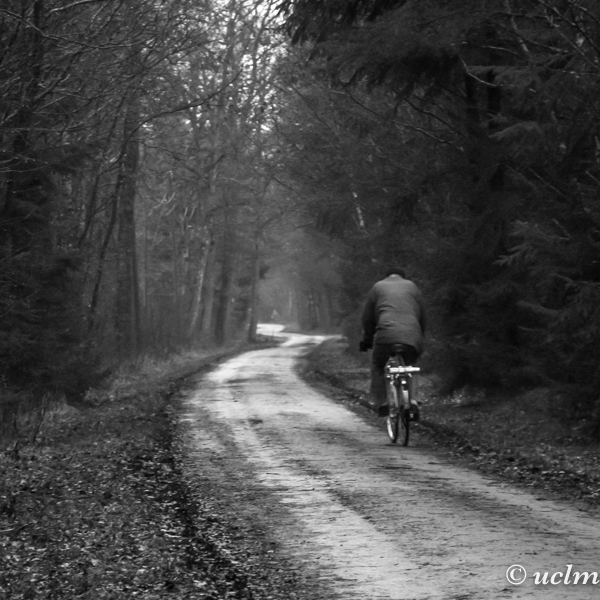 Cyklisten