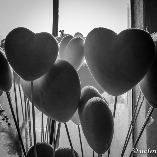Hearts-uclm-web