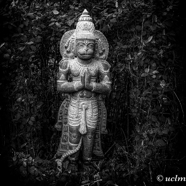 Hanuman-uclm-web