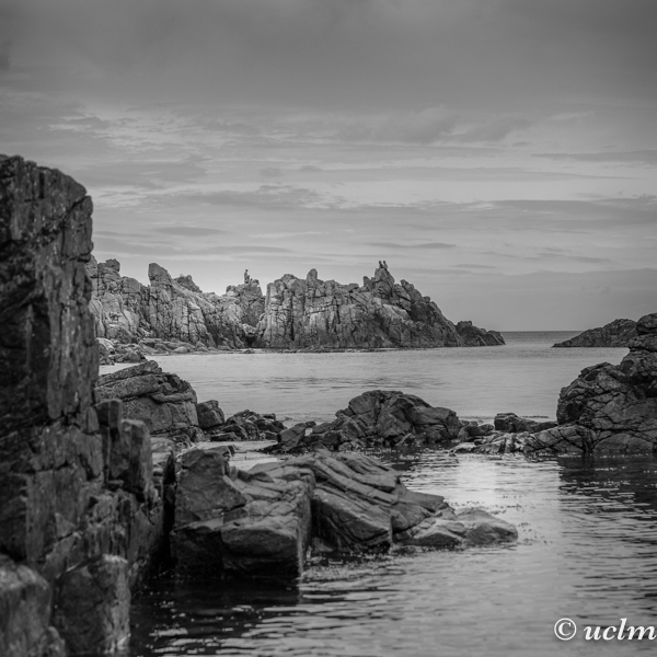 XT100780-uclm-web