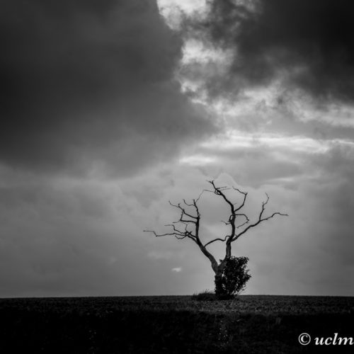 XT100915-uclm-web