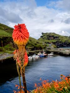Boscastle