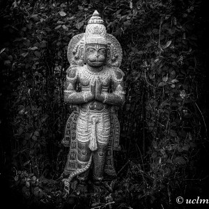 Hanuman                 